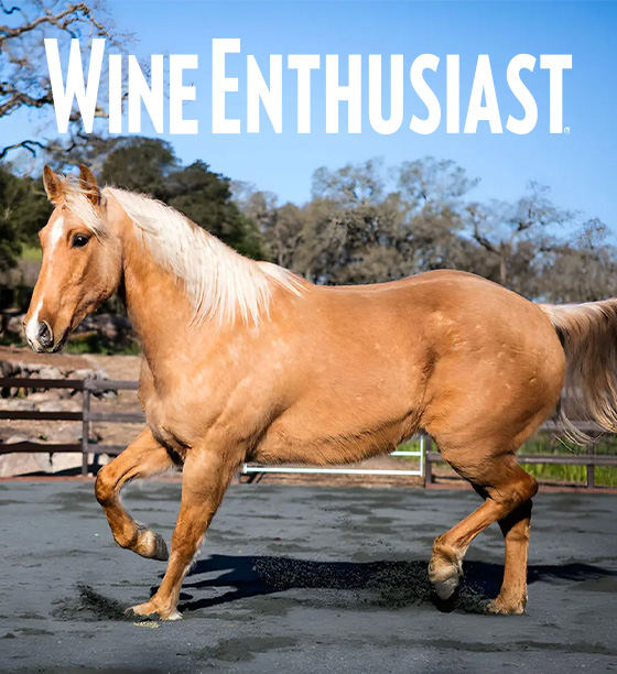 Wine Enthusiast